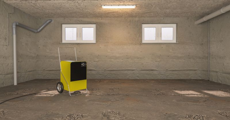 Basement Dehumidifier Service in Kansas City, MO