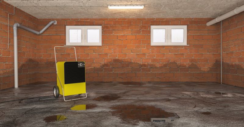 Basement Dehumidifier Service in Kansas City, MO
