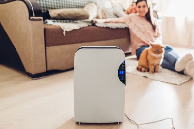 Dehumidifier Installation in Sarasota, FL